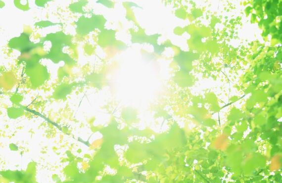 お墓の施工～お客様の声｜長崎｜佐賀｜福岡｜墓石のことなら株式会社近藤石材へ